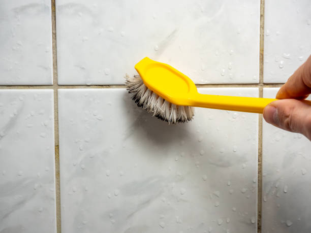 Water Damage Restoration in Port St Joe, FL