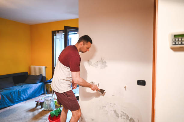 Home Mold Removal in Port St Joe, FL